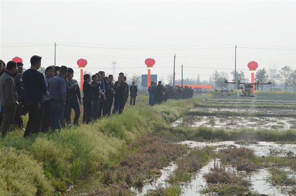 2018全市規(guī)模種植大戶水稻病蟲害防治應(yīng)用技術(shù)培訓(xùn)班開班3.jpg